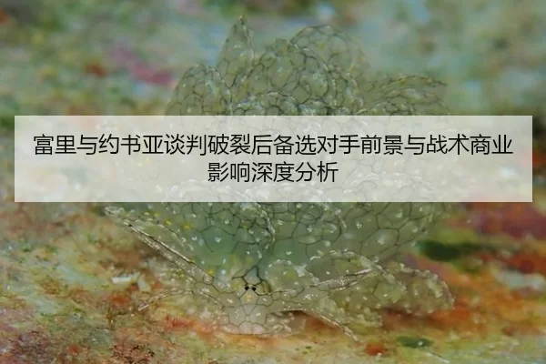 富里与约书亚谈判破裂后备选对手前景与战术商业影响深度分析